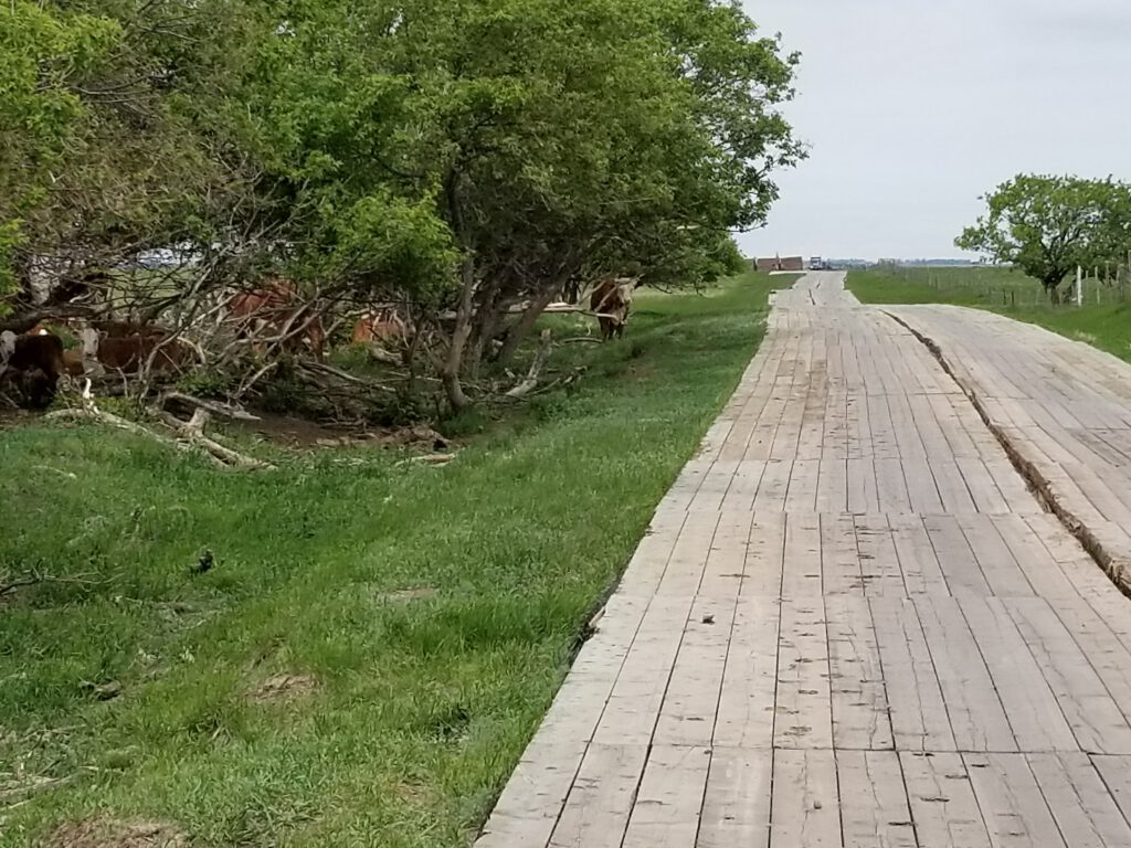 pipeline access road